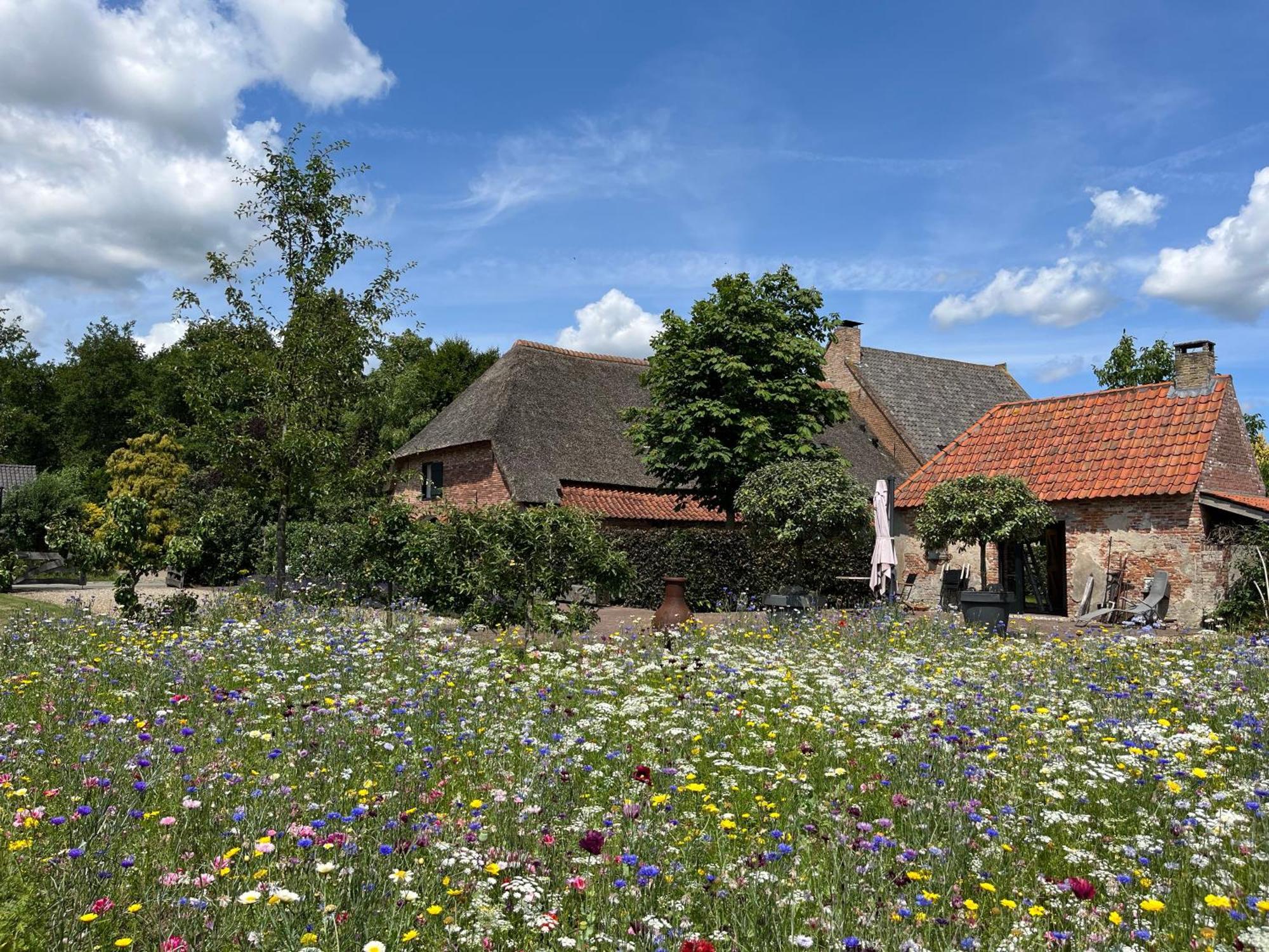 Den Eijngel Bed And Breakfast Boxtel Dış mekan fotoğraf
